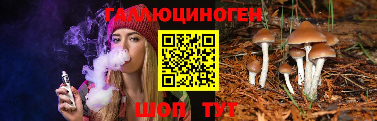Галлюциногенные грибы Psilocybine cubensis Балашов