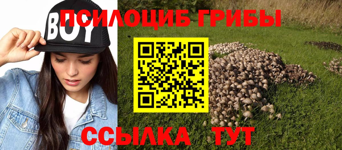 Галлюциногенные грибы Cubensis  Псилоцибиновые грибы Magic Shrooms  Балашов  Вход с VPN 